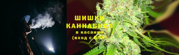 спайс Михайлов