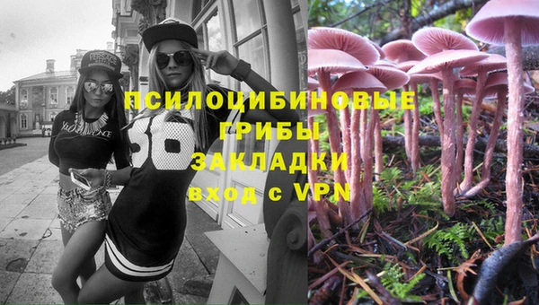 амф Михайловск