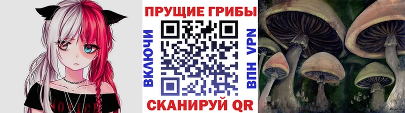 Галлюциногенные грибы Psilocybine cubensis  Углегорск 